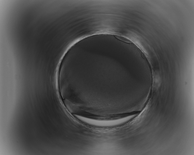 X0000094941246200712061225