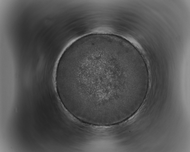 X0000094941248200712061225