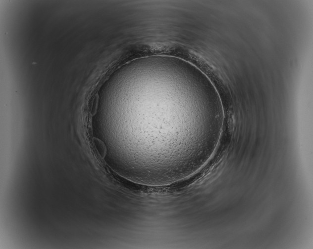 X0000094941249200712061224