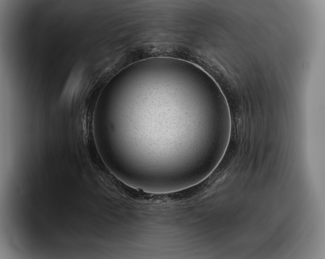 X0000094941250200712061224