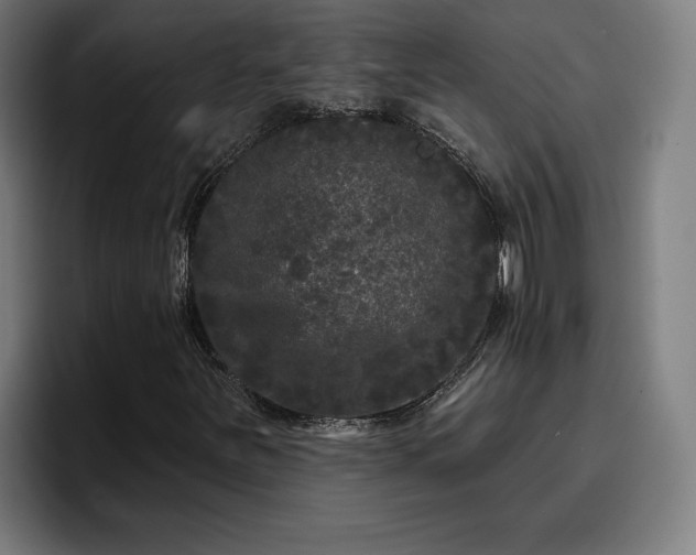 X0000094941251200712061224