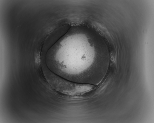 X0000094941252200712061224