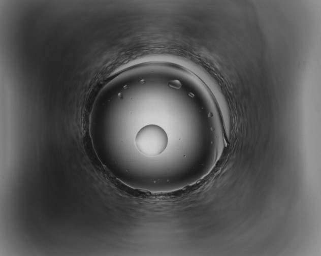 X0000094941253200712061224