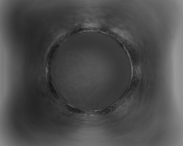 X0000094941254200712061224