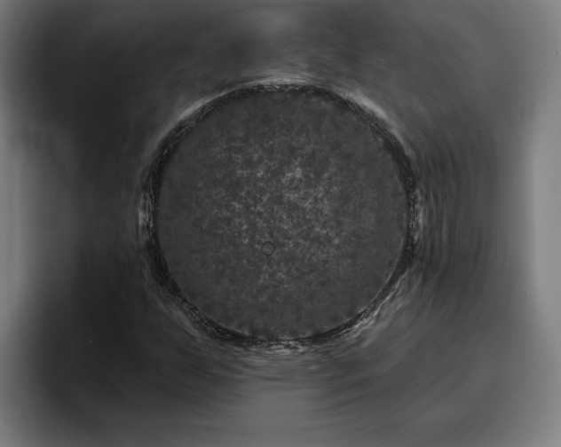 X0000094941255200712061224