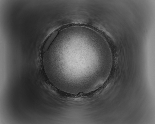 X0000094941256200712061224