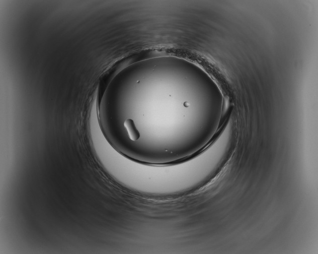 X0000094941257200712061224