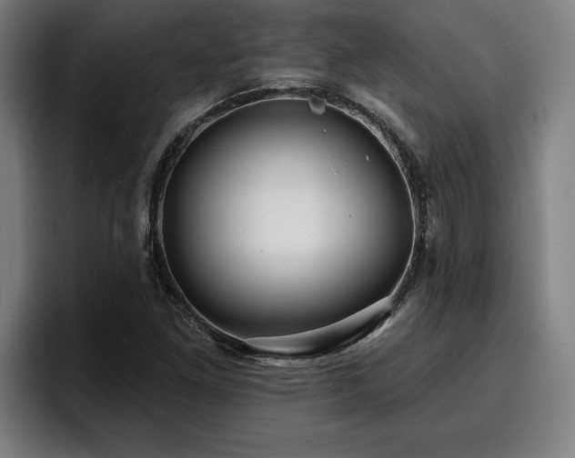 X0000094941261200712061224