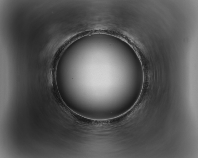 X0000094941262200712061224