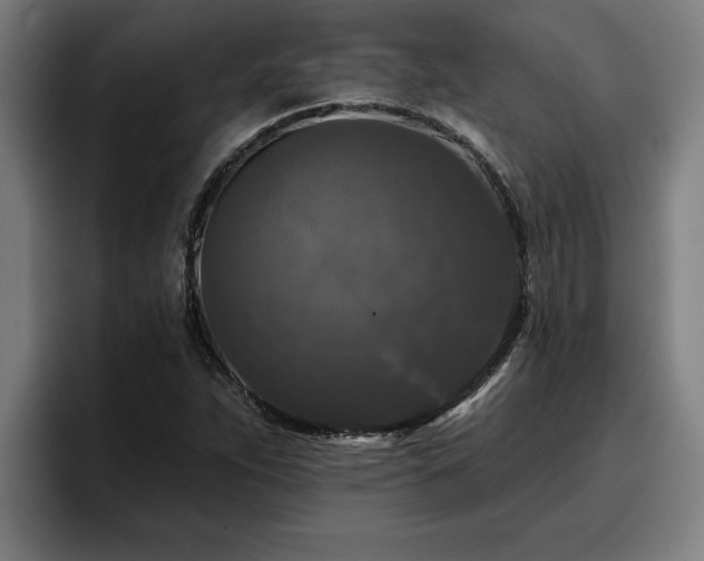 X0000094941263200712061224