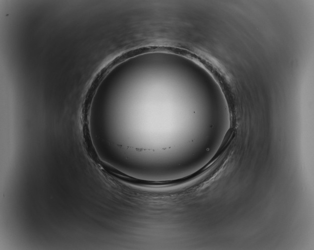 X0000094941264200712061224