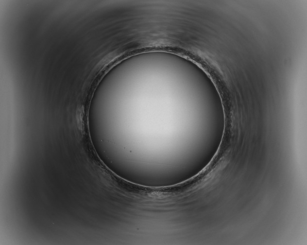 X0000094941265200712061224