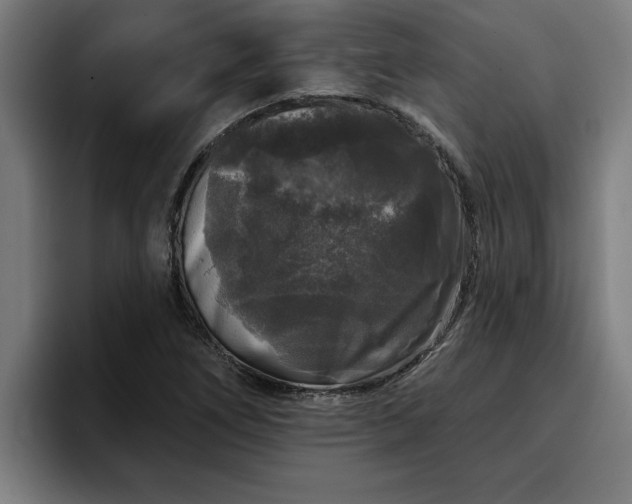 X0000094941266200712061224