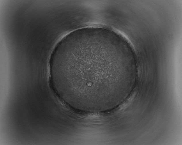 X0000094941267200712061224