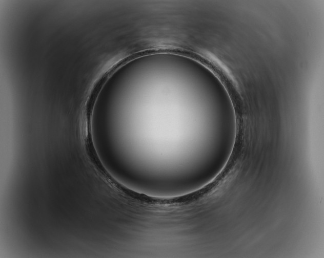 X0000094941269200712061224