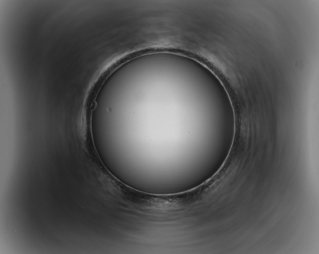 X0000094941270200712061224