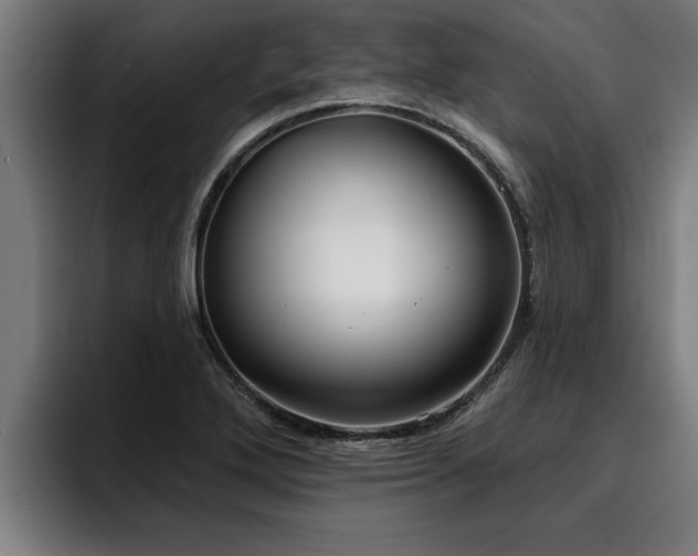 X0000094941272200712061224