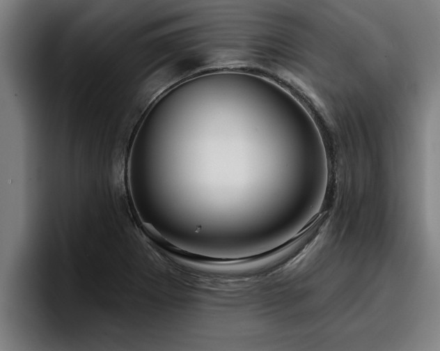 X0000094941273200712061224