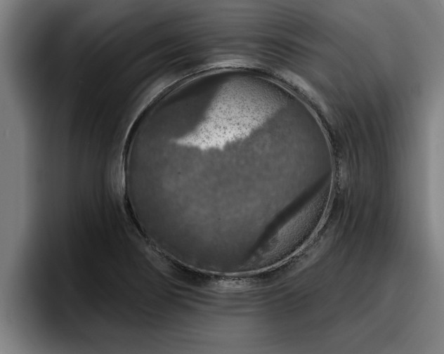 X0000094941274200712061224