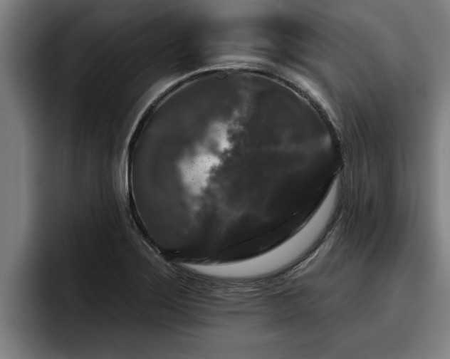 X0000094941275200712061224