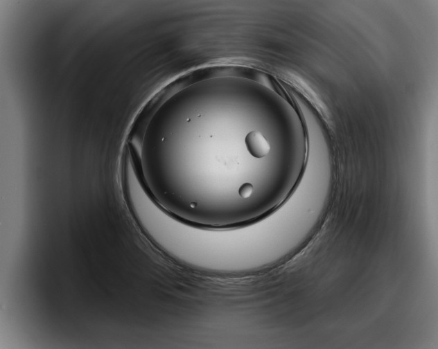 X0000094941276200712061224