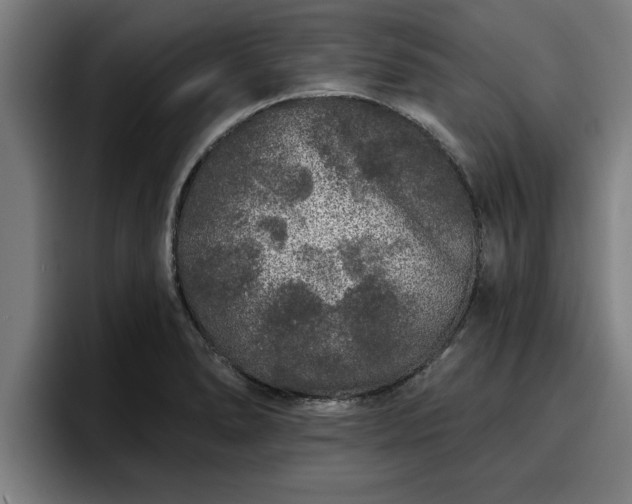 X0000094941278200712061224