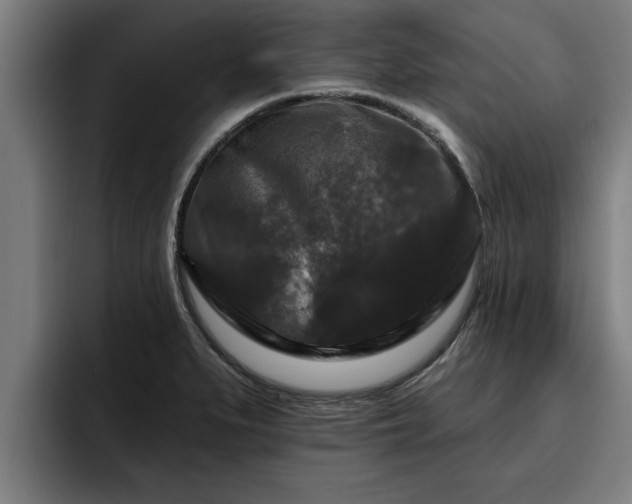 X0000094941279200712061224