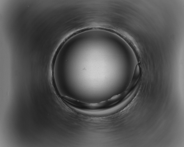 X0000094941280200712061224