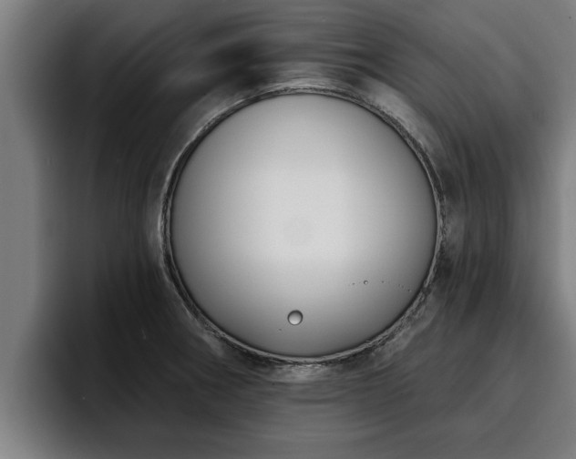 X0000094941282200712061224