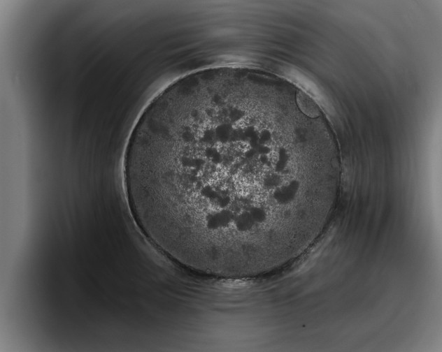 X0000094941283200712061224