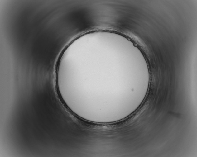 X0000094941286200712061224