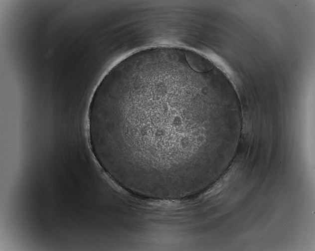 X0000094941287200712061224