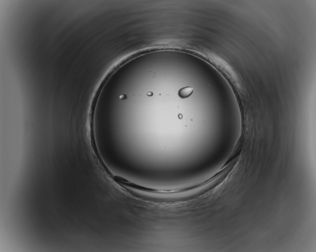 X0000094941288200712061224