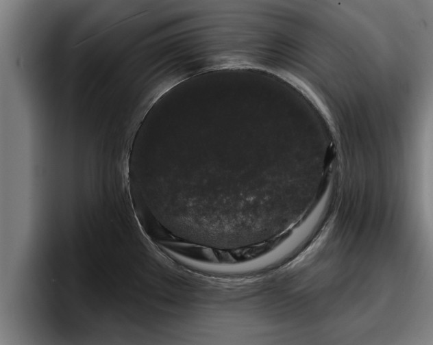 X0000094941289200712061224