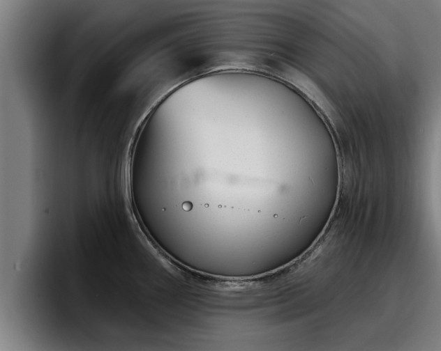 X0000094941290200712061224