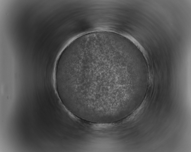 X0000094941294200712061223