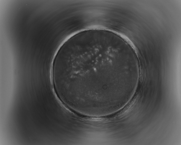 X0000094941295200712061223