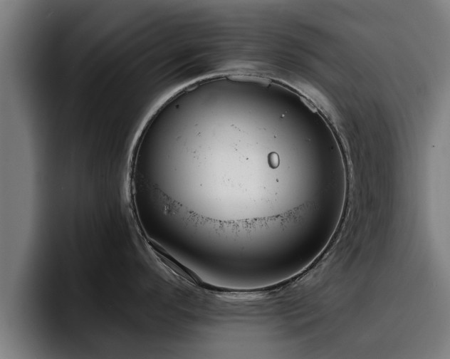 X0000094941296200712061223