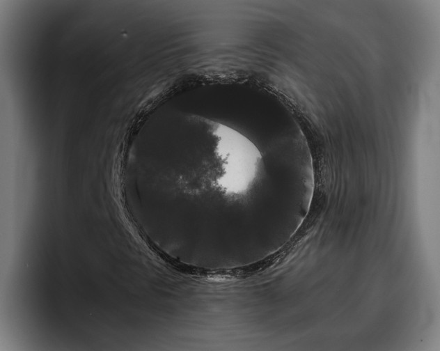 X0000094941297200712061223