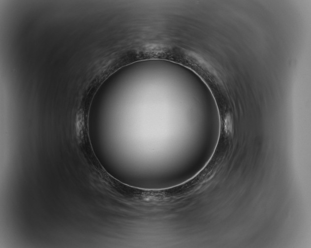 X0000094941299200712061223