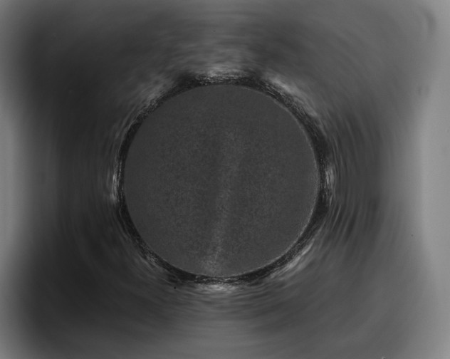 X0000094941300200712061223