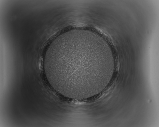 X0000094941301200712061223