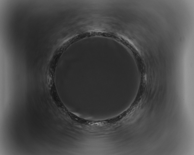 X0000094941303200712061223