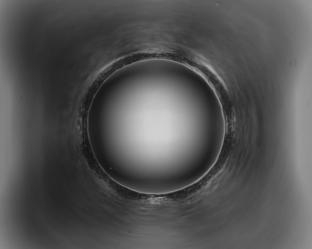 X0000094941304200712061223