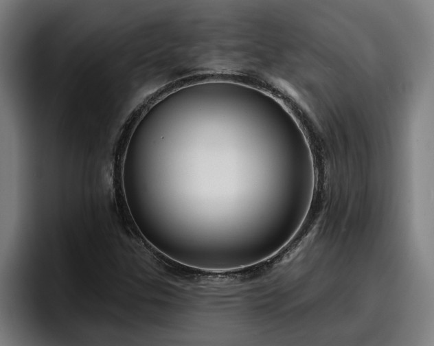 X0000094941307200712061223