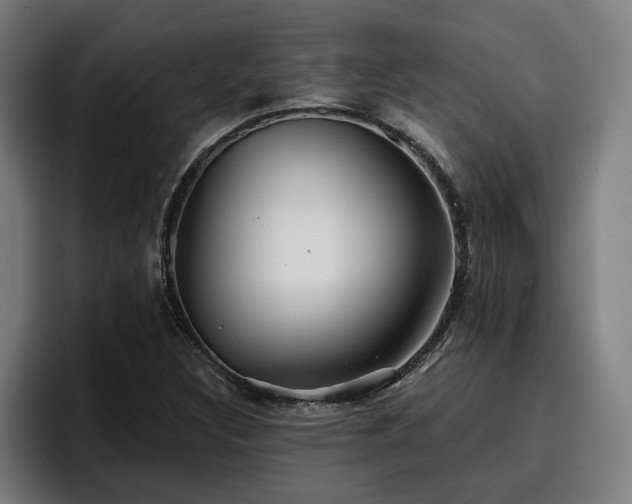 X0000094941308200712061223