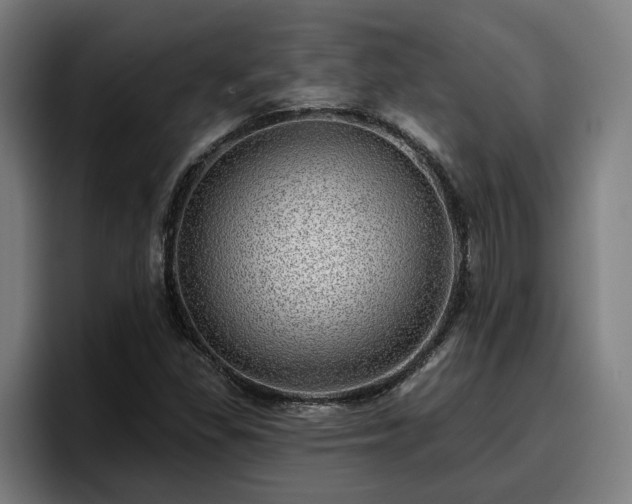 X0000094941309200712061223