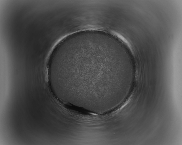 X0000094941310200712061223