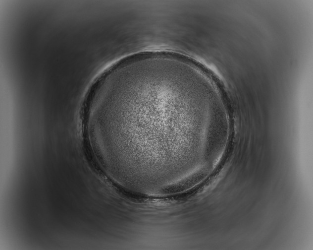 X0000094941311200712061223