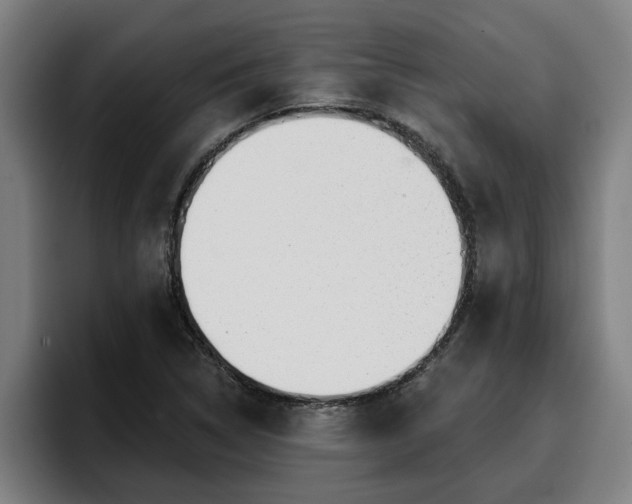 X0000094941314200712061223